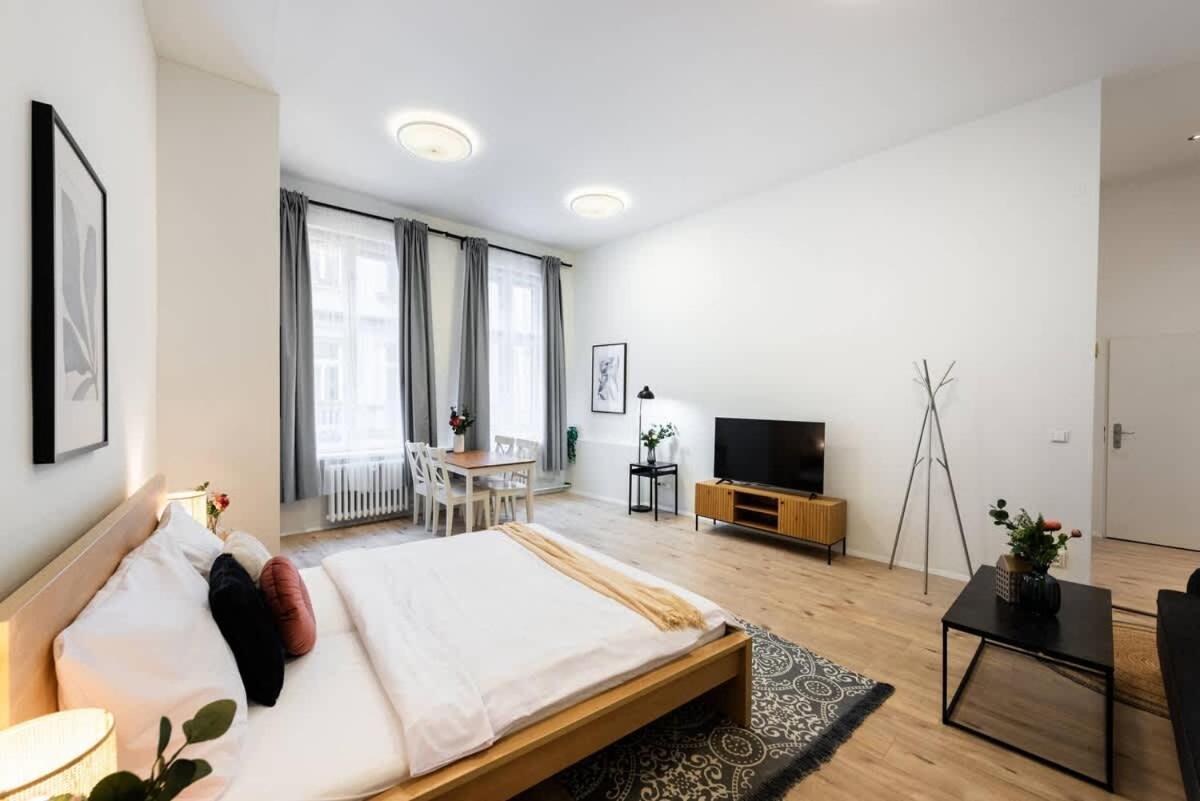 Elegant Spacious Old Town Prag