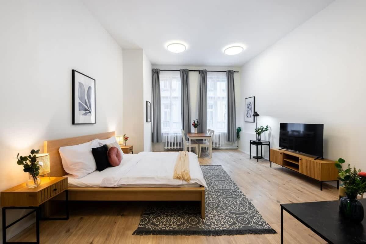 Elegant Spacious Old Town * Prag